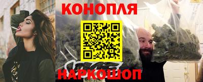 стаф Кунгур