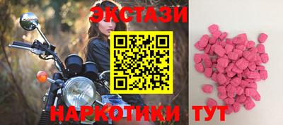 стаф Кунгур