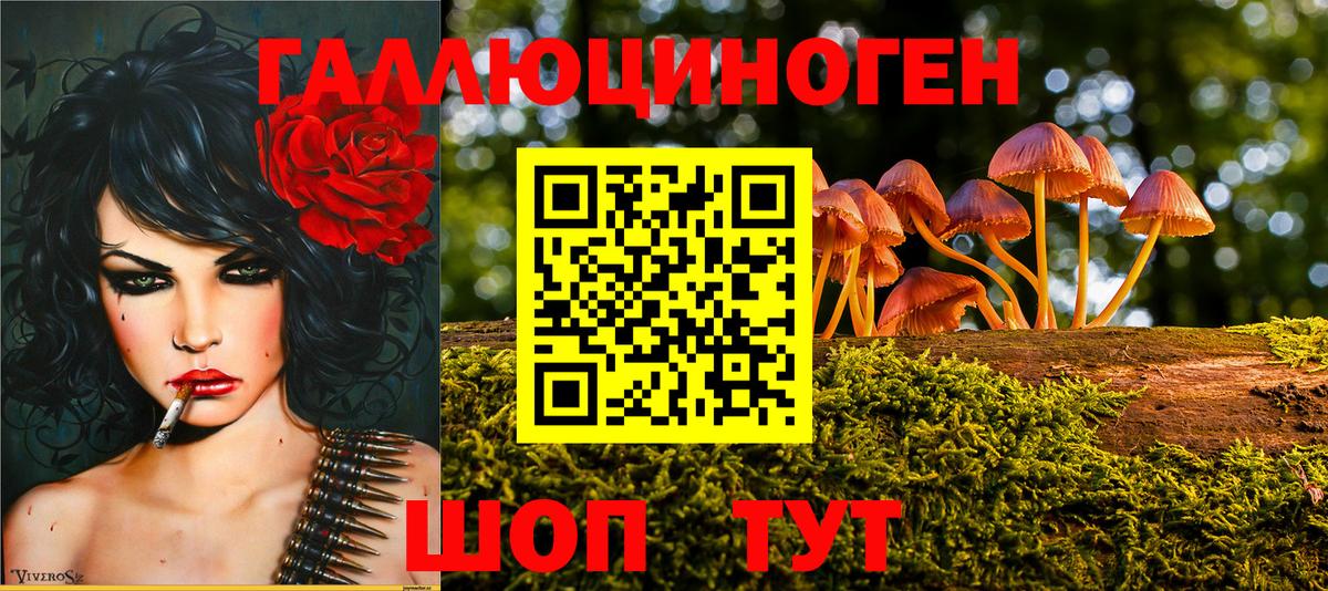 закладки  Псилоцибиновые грибы мицелий  Вход с VPN  Дербент  Галлюциногенные грибы Psilocybine cubensis 